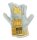 teXXor® Rindkernspaltleder-Handschuhe EIFEL